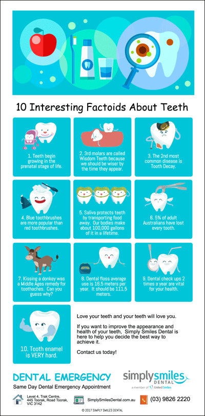 10 Interesting Factoids About Teeth